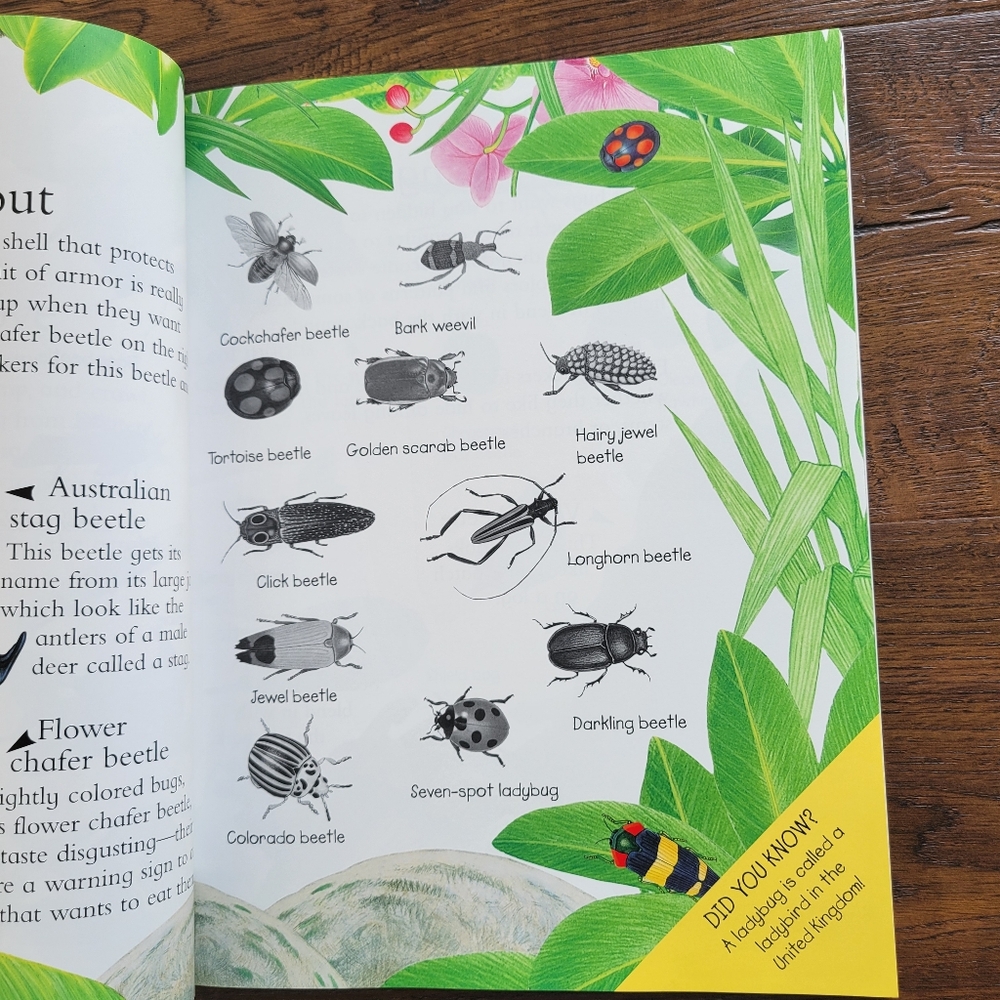 Sticker Activity Book - Picture 3 of 4